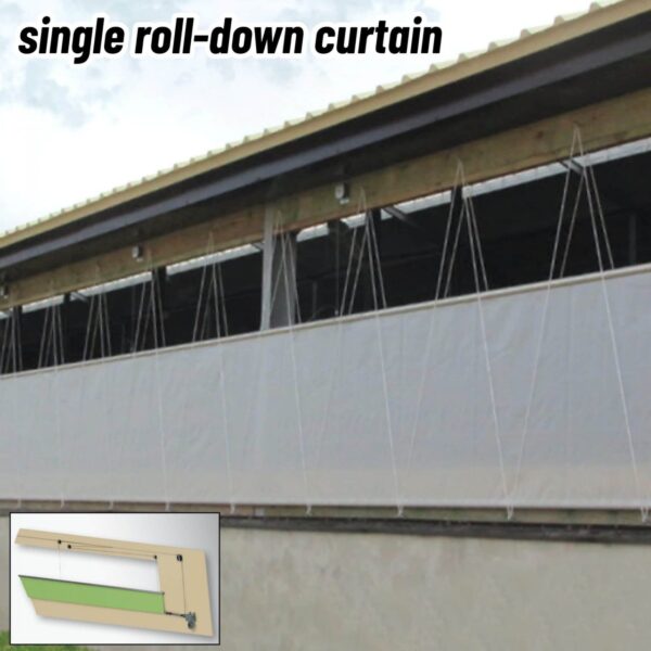 Single roll-down livestock curtain.