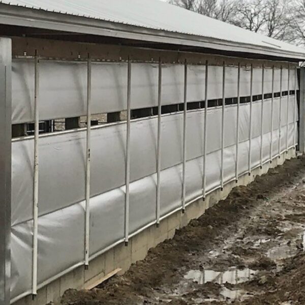 Agro Air Dynamics livestock curtains in use on a cow barn.