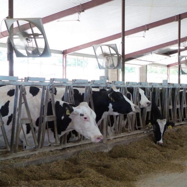 Agro Air Dynamics Agro-Breeze dairy barn fan.