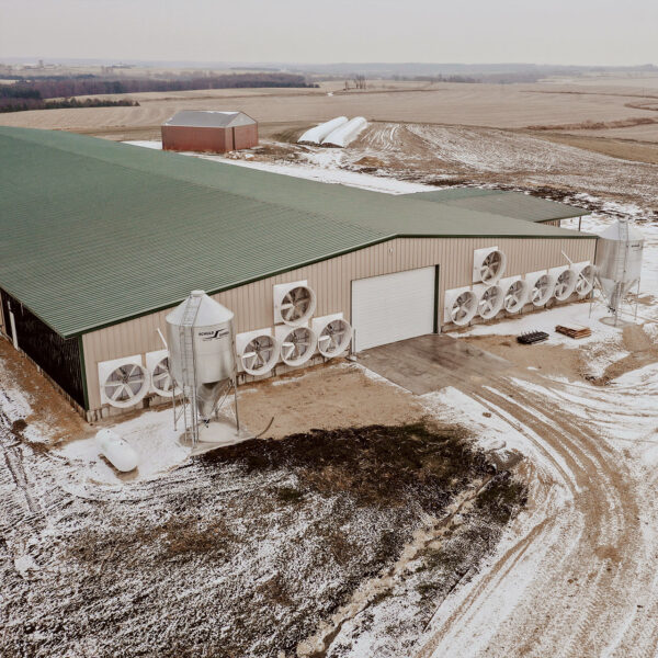 Dairy barn with direct drive exhaust fans.