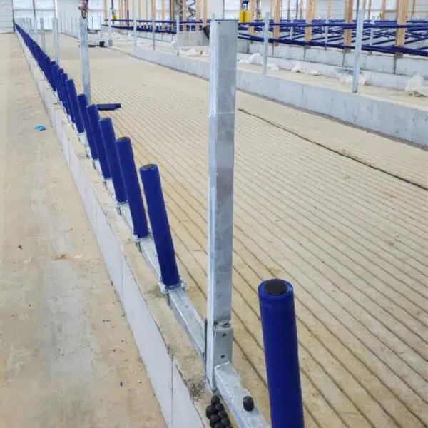 Agromatic FreeFEED cattle headlock alternative (installed).