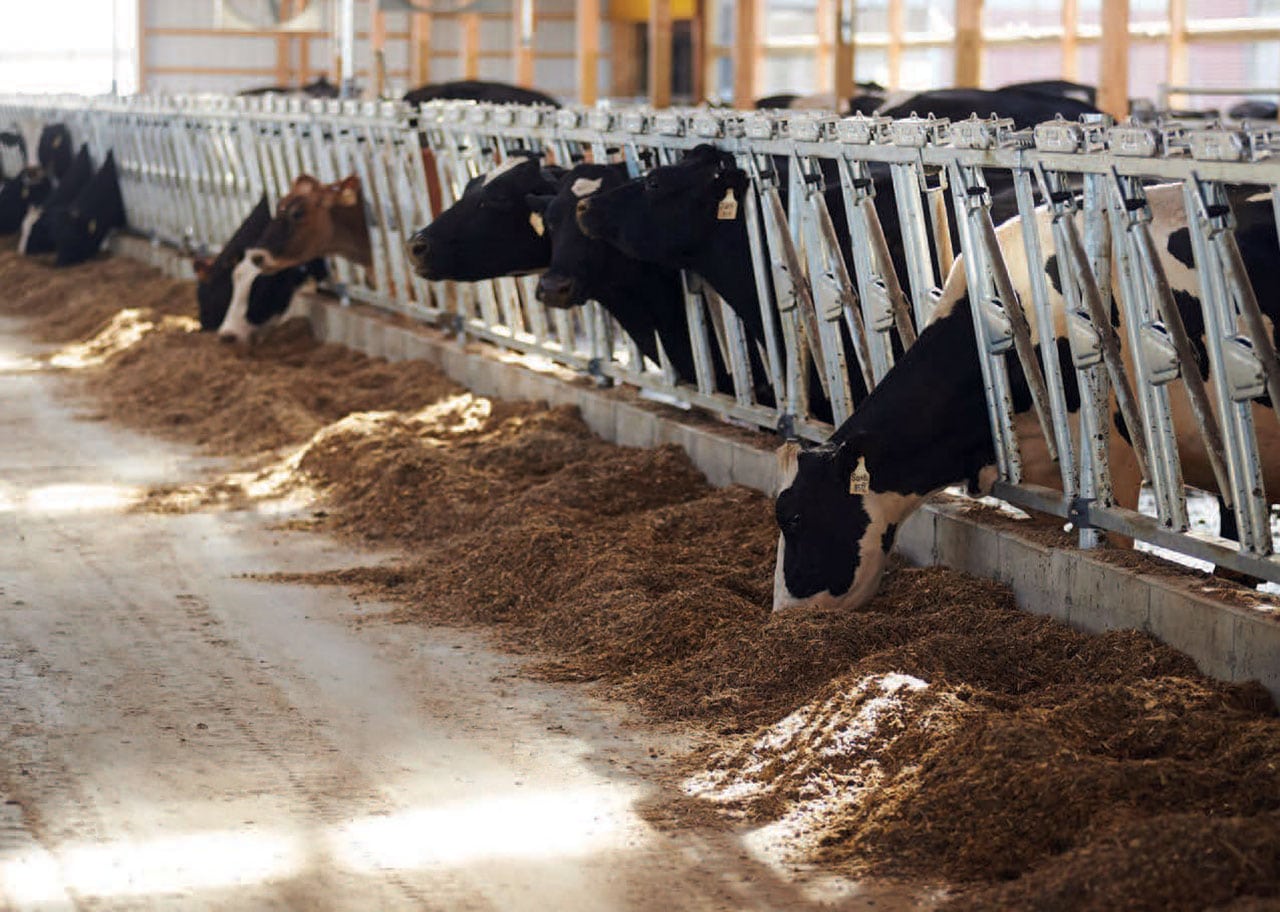 Norbco Farm Equipment For Sale | Cow Comfort | Barn Ventilation