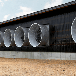Outside barn exhaust fans at Collins Dairy LLC in Greenleaf, WI
