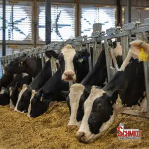 Norbco Hickory Lawn Dairy Farm | Schmidt Building and Equipment, LLC