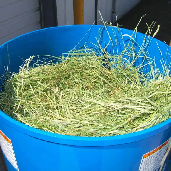 Hay inside tank of the Patz bedding chopper.