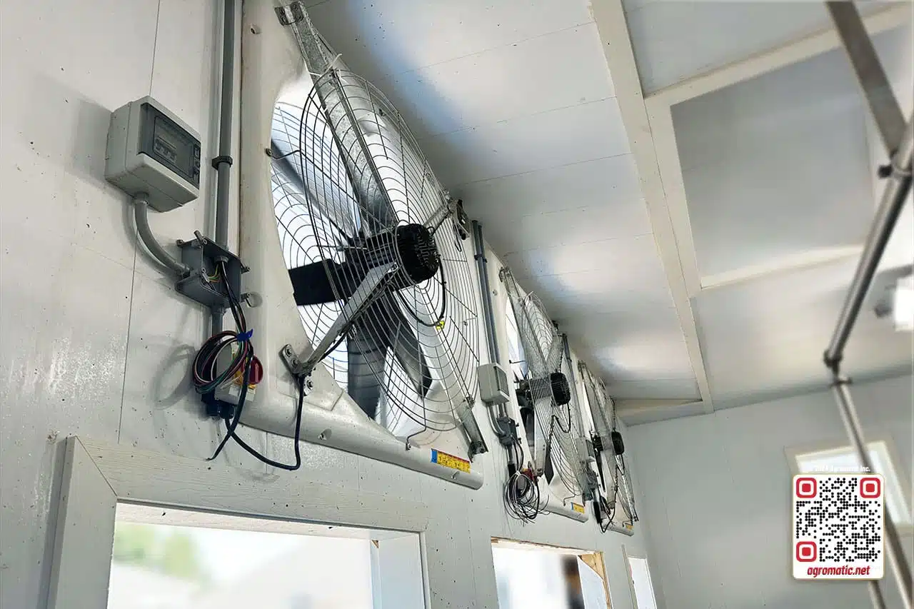Positive pressure fans in cow barn (inside view).