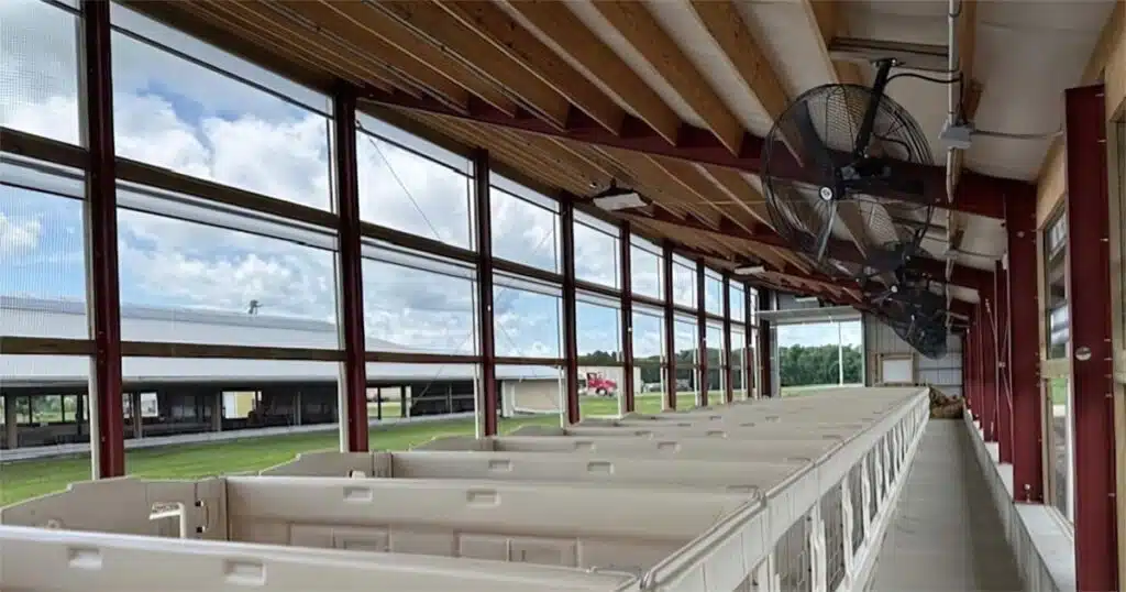 Hickory Lawn Dairy Farm calf barn built by Schmidt Building & Equipment